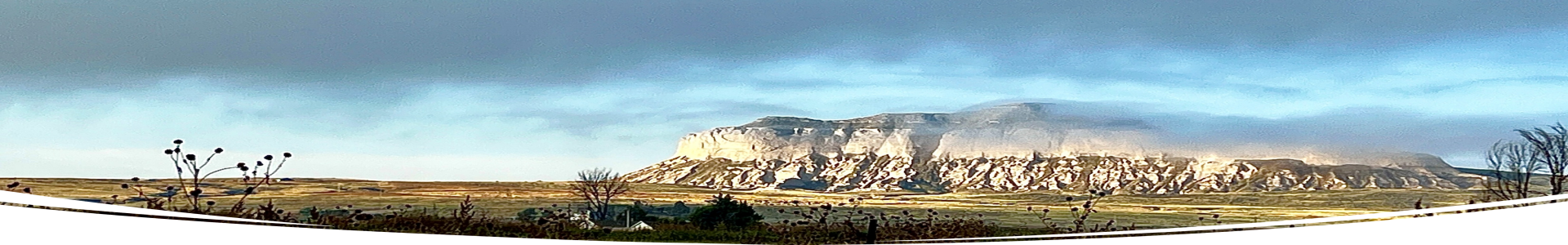 NE Image 3